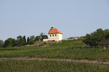 Small chapel and vineyard