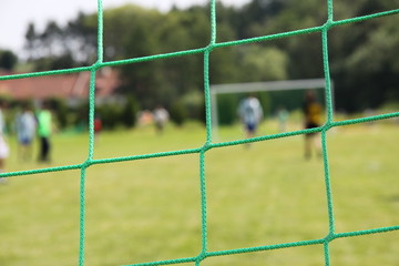 green football net, green grass