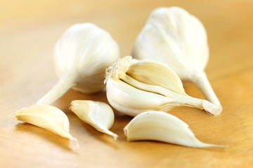 Fresh Garlic