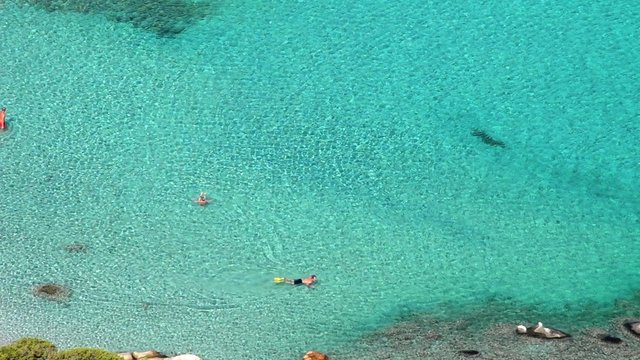 exotic sea