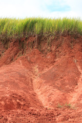 land slide in nature field