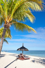 vacances paradisiaques sous les cocotiers