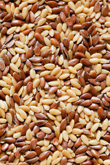 Flax seeds