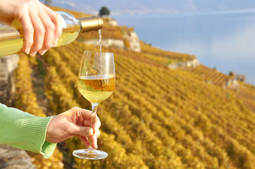 Glass of red wine. Lavaux region, Switzerland
