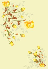 jesienne róże © klatki