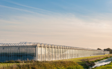Exterior of a modern greenhouse
