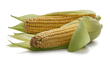 Two corncobs