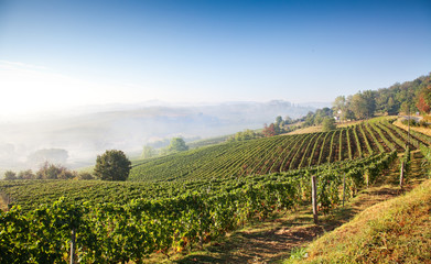 Fototapeta na wymiar Asti, Piemont, Włochy: krajobraz (Costigliole d'Asti)