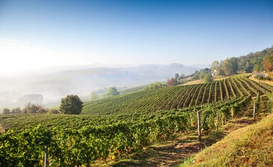 Gordijnen Astigiano, Piemonte, Italië: landschap (Costigliole d& 39 Asti) © dp3010
