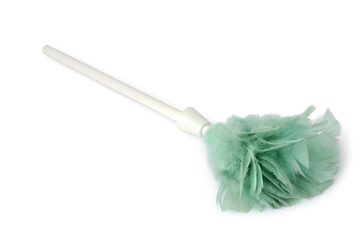 Feather Duster