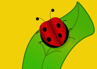 Ladybug vector