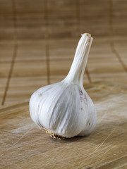 Garlic