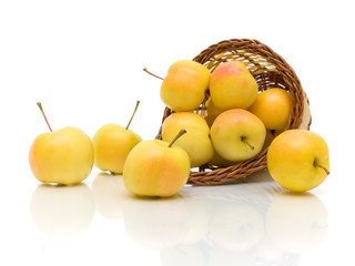 yellow apples in a basket on a white background