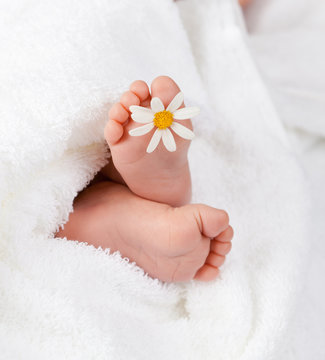 Lovely infant foot with little white daisy