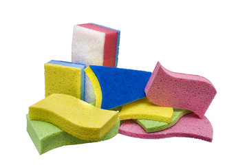 showcase of many sponges