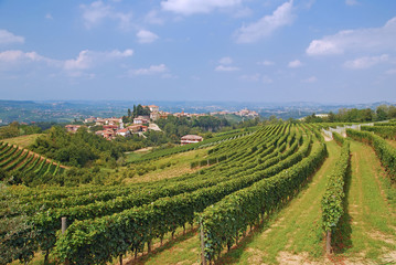 das bekannte Weinanbaugebiet Langhè bei Asti im Piemont