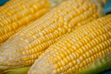 Corn