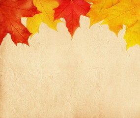Naklejka na ściany i meble Autumn background, vintage maple leaves