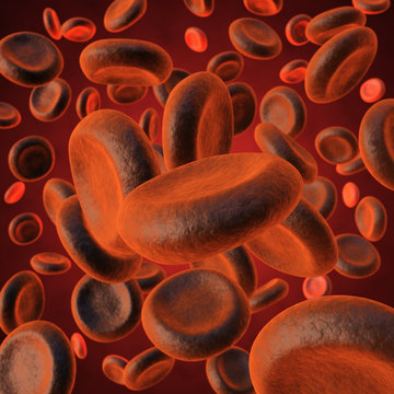 Red blood cels on red background