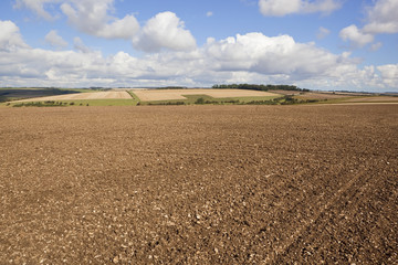 patchwork autumn landscape