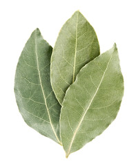 Aromatic bay leaves