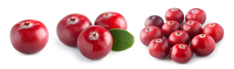 Fresh cranberry
