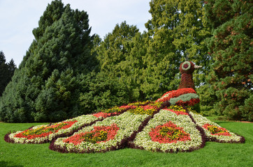 Flower peacock sculpture. Mainau island, Germany