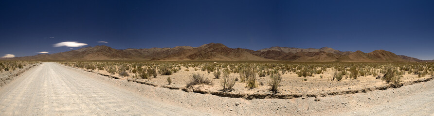 Long way in argentine desert