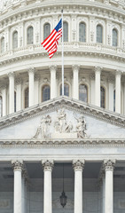 Fototapeta na wymiar United States Capitol Detail