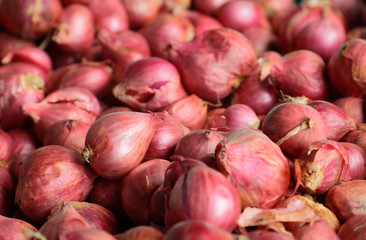 Shallots