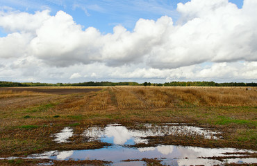 Cultivated land.