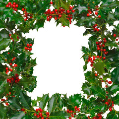 Square holly frame isolated