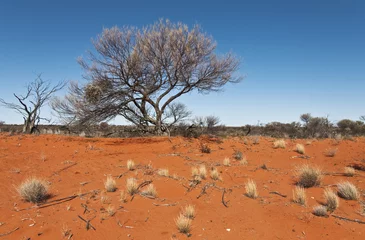 Fototapeten the red center in the australian outback © Enrico Della Pietra