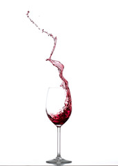 Wein Splash