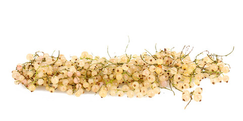 White currants isolated on white