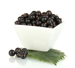 Fresh black currant in white bowl isolated on white