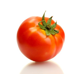 tomato isolated on white