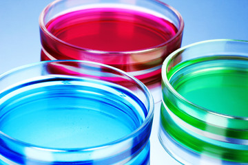 color liquid in petri dishes on blue background