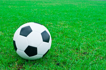 Fototapeta premium Football and soccer fields.