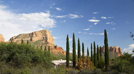 Tuscan Cypress in Sedona