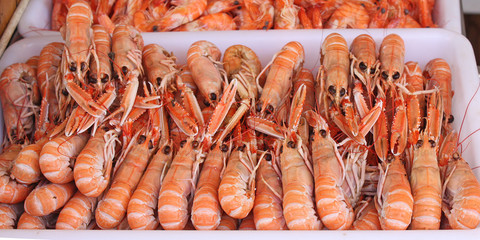 Des langoustines