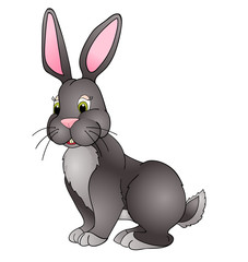cartoon bunny