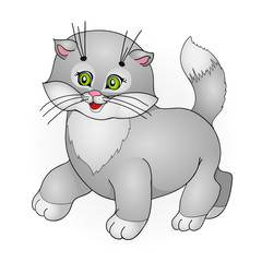 cartoon cat
