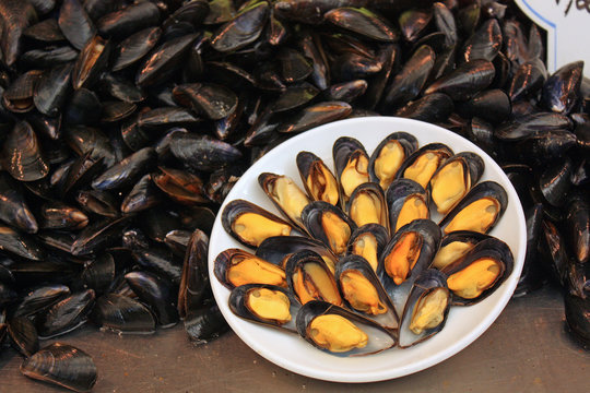 Etalage de moules