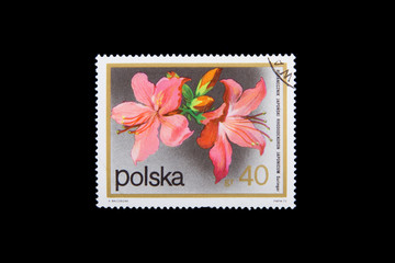 POLAND - CIRCA 1990: Stamps printed by Poland, shows flowers of