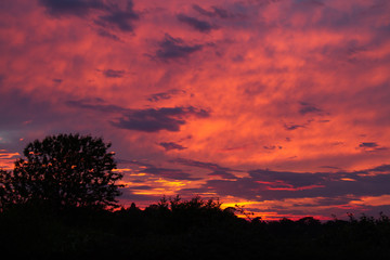 Fototapeta premium Summer Sunset