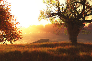 Autumn Sunset / Sunrise at Lake 3D render