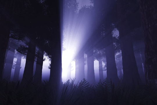 Supernatural scene in dark deep forest 3D render