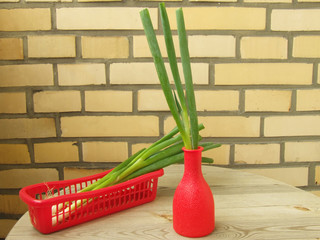 Lauchzwiebeln in der Vase