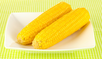 boiled corn on the white plate on a green tablecloth